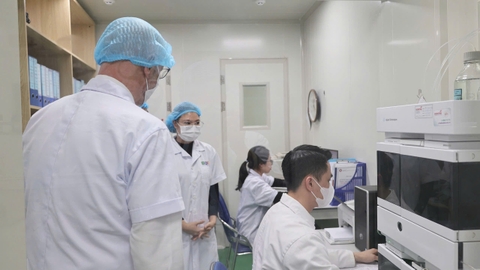 Tổ chức PUM Hà Lan làm việc với các doanh nghiệp hội viên của VPA