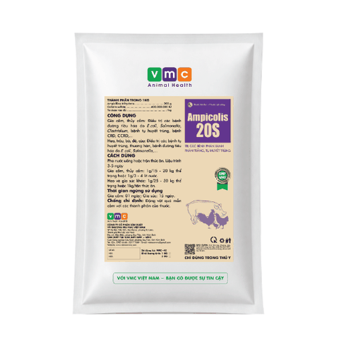 AMPICOLIS 20S