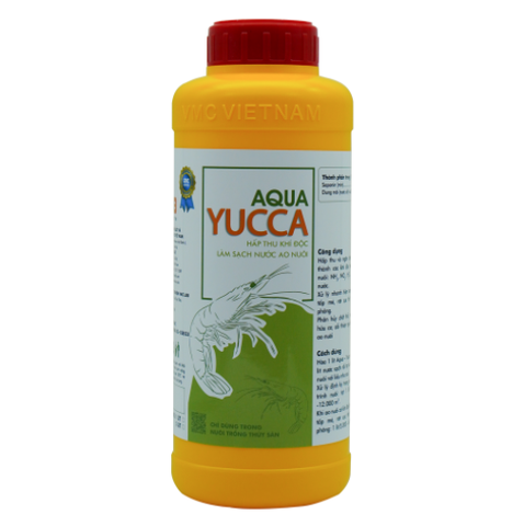AQUA – YUCCA