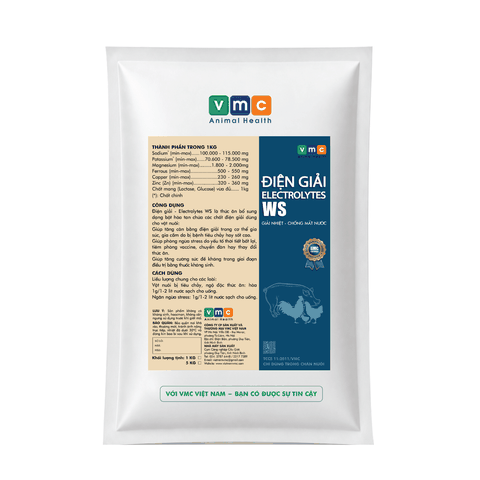 ĐIỆN GIẢI ELECTROLYTE WS