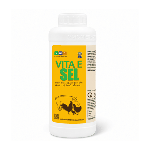 VITA E – SEL