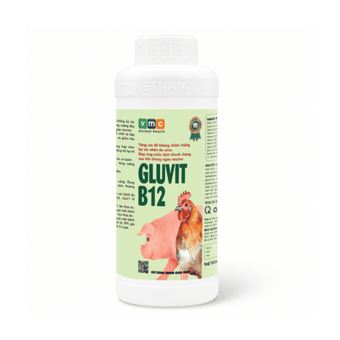 GLUVIT B12
