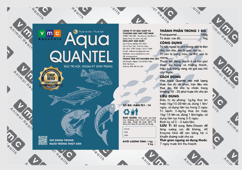 AQUA QUANTEL