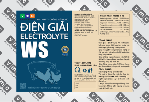 ĐIỆN GIẢI ELECTROLYTE WS