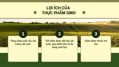 lợi ích của thực phẩm GMO