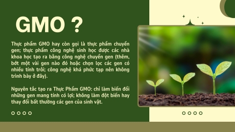 GMO là gì? Thực phẩm biến đổi gen