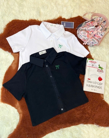 Áo Thun Cổ Sơ Mi Cao Cấp Basic Form