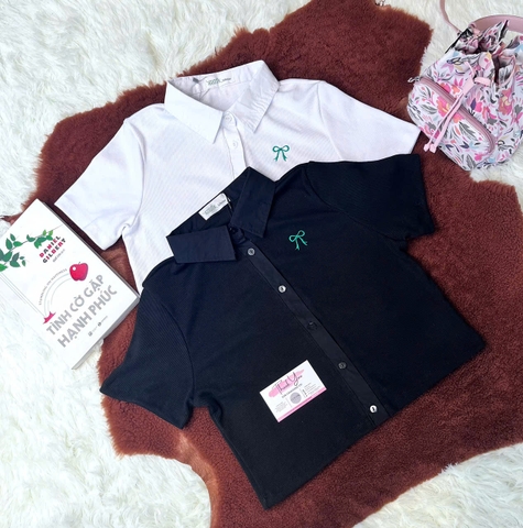 Áo Thun Cổ Sơ Mi Cao Cấp Basic Form