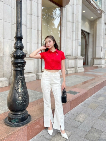 Áo Thun Cổ Sơ Mi Cao Cấp Basic Form