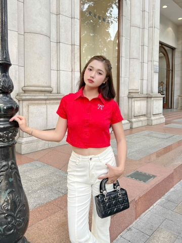 Áo Thun Cổ Sơ Mi Cao Cấp Basic Form