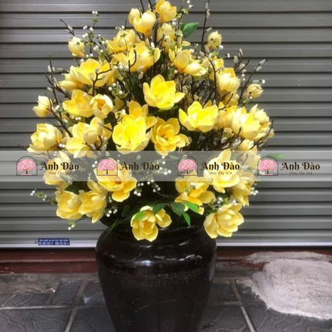 Bình hoa mộc lan cao 1.6m rộng 1.1m