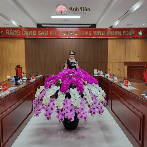 Chậu Lan Hồ Điệp giả tại Ban cơ yếu Chính phủ ở Thạch Thất, Hà Nội