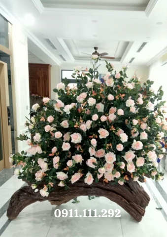 Mẫu cây hoa hồng