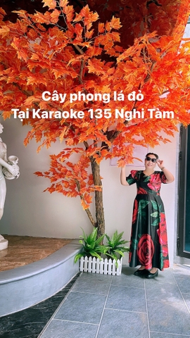 Cây Phong Lá Đỏ