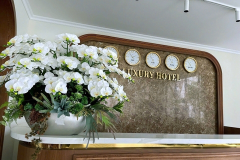 Chậu hoa lan hồ điệp trắng và xanh