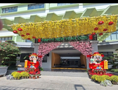 Dàn hoa mai vàng trang trí đại sảnh