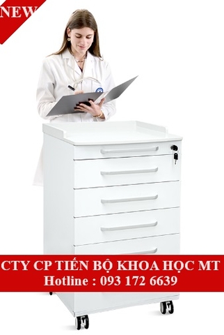 Tủ đầu giường SKS-D2C