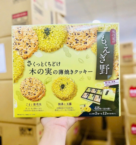 Bánh quy vừng Moegino Nhật bản hộp 48 chiếc