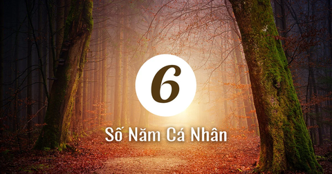 Năm cá nhân số 6 là gì? Vì sao năm 2026 mang ý nghĩa đặc biệt?