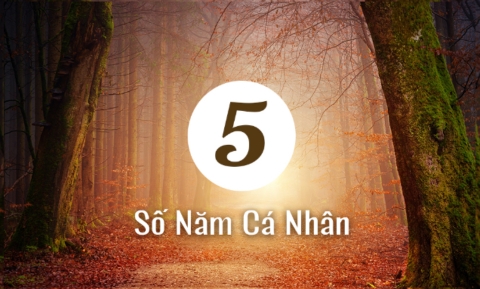 Năm cá nhân số 5 là gì? Vì sao năm 2026 đặc biệt mạnh?