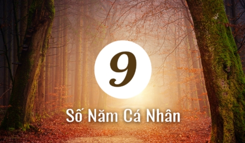 Năm cá nhân số 9 là gì? Vì sao được gọi là năm kết thúc & chữa lành