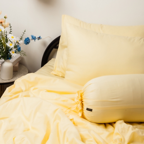 [Pastel] Bộ Chăn Ga Cotton 100% Phong Cách Nhẹ Nhàng