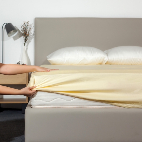 [Pastel] Ga Giường Cotton 100% Phong Cách Nhẹ Nhàng