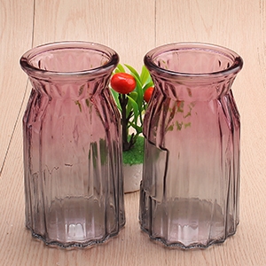 [ Đồng giá 19k]  Bình hoa chuyển màu