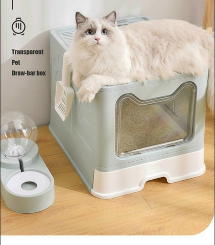 Nhà vệ sinh mèo