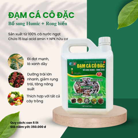 ĐẠM CÁ CÔ ĐẶC SBC bs Humic - Rong biển 5L