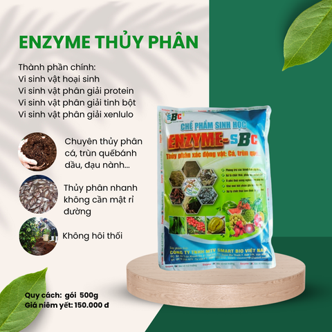 ENZYME THỦY PHÂN