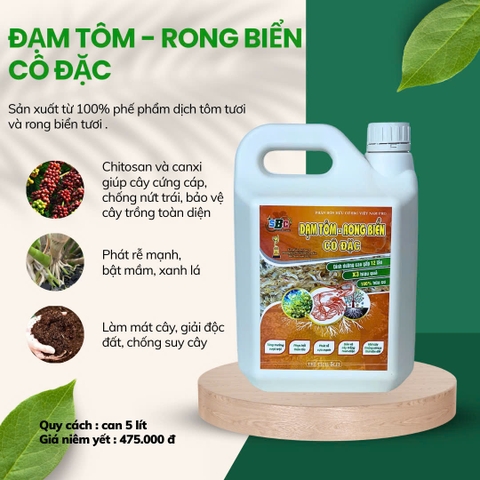 ĐẠM TÔM - RONG BIỂN CÔ ĐẶC
