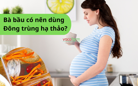 Bà bầu có dùng được đông trùng hạ thảo không?