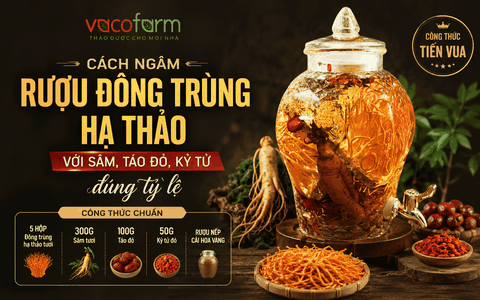 Cách ngâm rượu Đông trùng hạ thảo với sâm, táo đỏ, kỷ tử đúng tỷ lệ