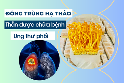 NGƯỜI BỆNH UNG THƯ PHỔI CÓ UỐNG ĐƯỢC ĐÔNG TRÙNG HẠ THẢO KHÔNG?