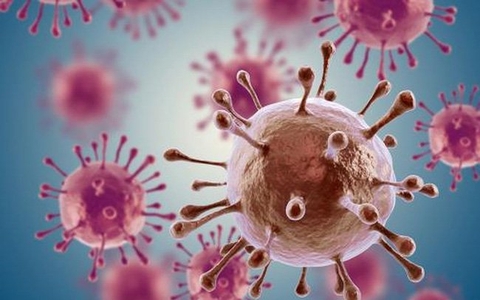 ĐÔNG TRÙNG HẠ THẢO HỖ TRỢ CHỮA BỆNH UNG THƯ