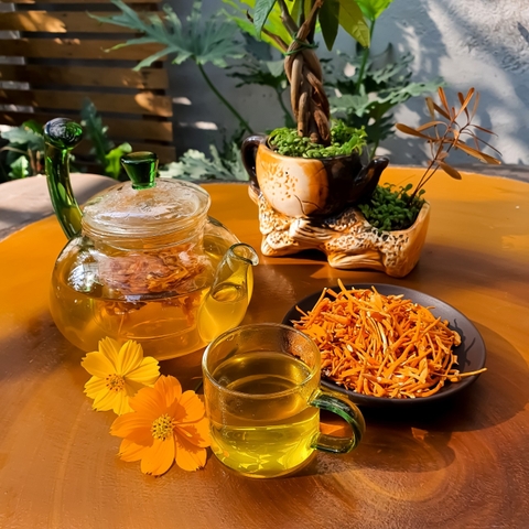 5 BÀI THUỐC HỖ TRỢ TRỊ LIỆT DƯƠNG TỪ ĐÔNG TRÙNG HẠ THẢO