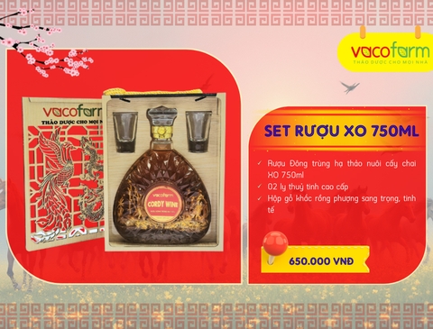 Set RƯỢU XO 750ml - Hộp gỗ
