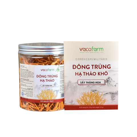 Đông trùng hạ thảo khô 30g - Hũ nhựa