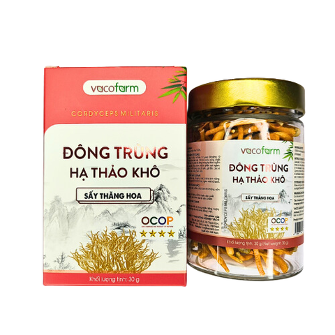 Đông trùng hạ thảo khô 30g - Hũ thủy tinh