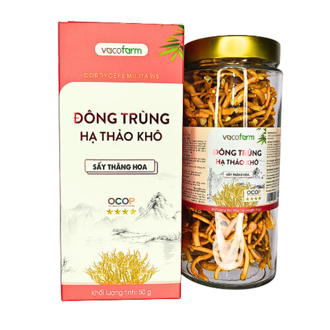 Đông trùng hạ thảo khô 50g - Hũ thủy tinh