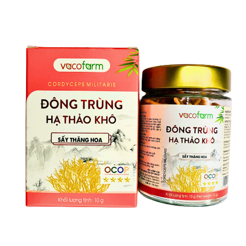 Đông trùng hạ thảo khô 10g - Hũ thủy tinh