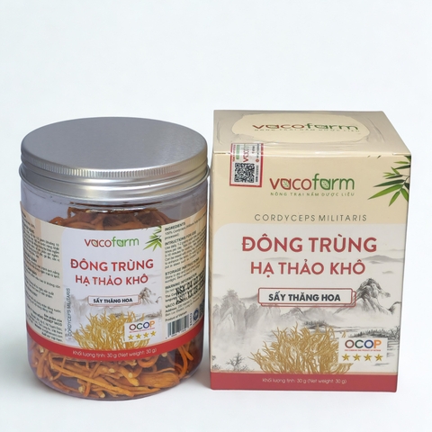 Đông trùng hạ thảo khô 30g - Hũ nhựa
