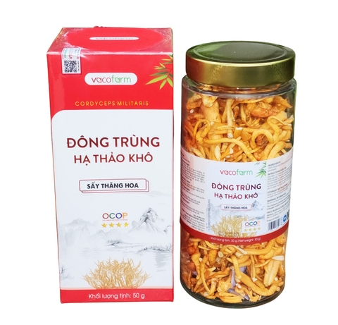 Đông trùng hạ thảo khô 50g - Hũ thủy tinh