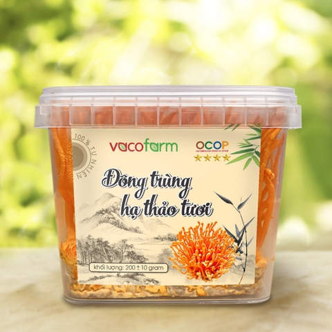 Đông trùng hạ thảo tươi Vacofarm