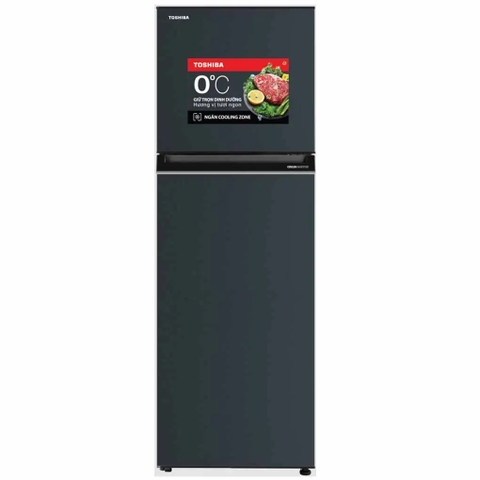 Tủ Lạnh Toshiba Inverter 253 Lít GR-RT329WE-PMV (52)