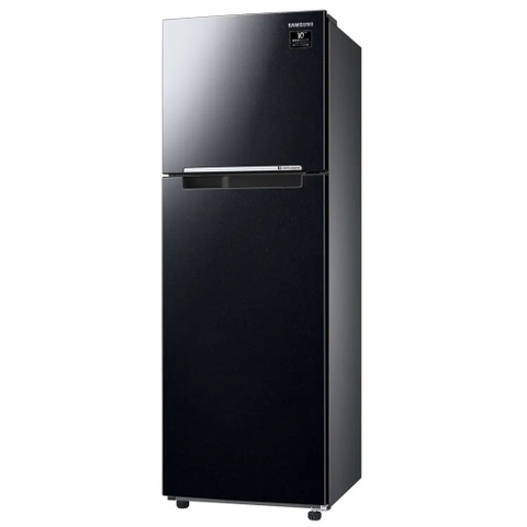 Tủ Lạnh Samsung Inverter 256 Lít RT25M4032BU