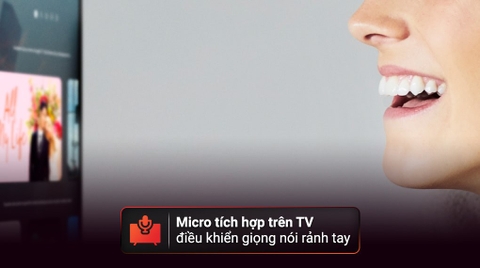 Google Tivi Sony 4K 65 inch KD-65X80L
