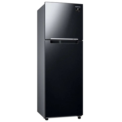 Tủ Lạnh Samsung Inverter 256 Lít RT25M4032BU