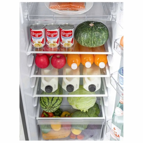 Tủ Lạnh Toshiba Inverter 253 Lít GR-RT329WE-PMV (52)